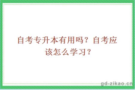 自考专升本有用吗？自考应该怎么学习？