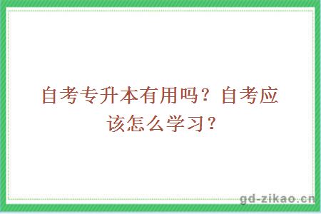 自考专升本有用吗？自考应该怎么学习？