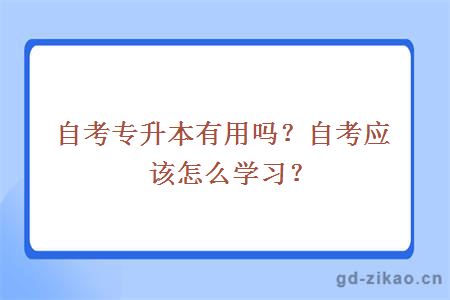 自考专升本有用吗？自考应该怎么学习？