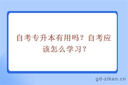 自考专升本有用吗？自考应该怎么学习？