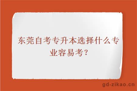 东莞自考专升本选择什么专业容易考？