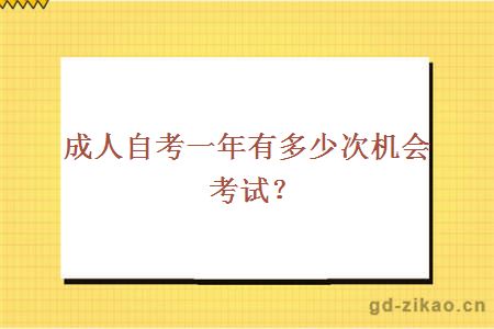 成人自考一年有多少次机会考试？