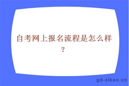 自考网上报名流程是怎么样？