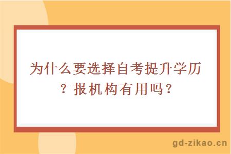 为什么要选择自考提升学历？报机构有用吗？