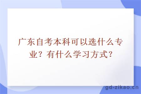 广东自考本科可以选什么专业？有什么学习方式？