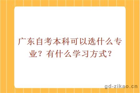 广东自考本科可以选什么专业？有什么学习方式？