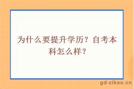 为什么要提升学历？自考本科怎么样？