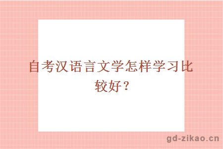 自考汉语言文学怎样学习比较好？