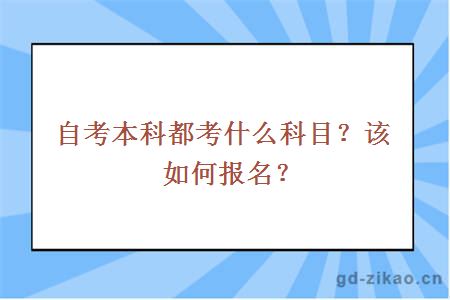 自考本科都考什么科目？该如何报名？