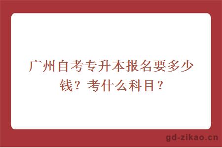 广州自考专升本报名要多少钱？考什么科目？