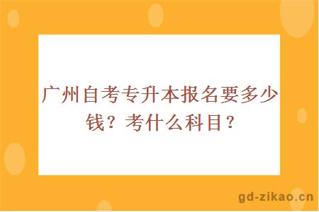 广州自考专升本报名要多少钱？考什么科目？