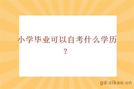 小学毕业可以自考什么学历？