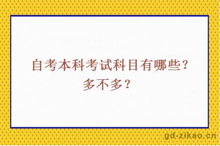 自考本科考试科目有哪些？多不多？