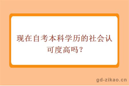 现在自考本科学历的社会认可度高吗？