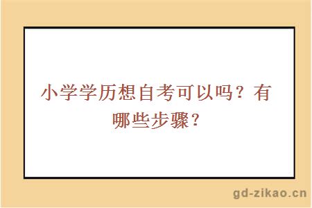 小学学历想自考可以吗？有哪些步骤？