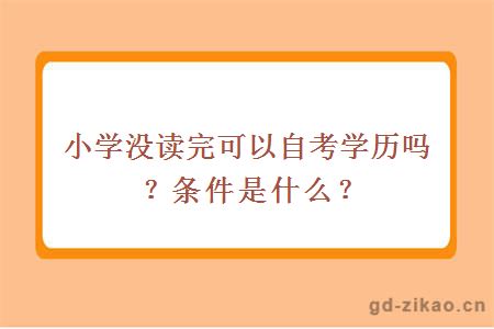 小学没读完可以自考学历吗？条件是什么？