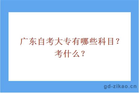 广东自考大专有哪些科目？考什么？