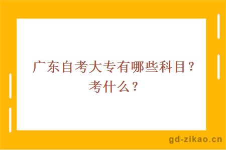 广东自考大专有哪些科目？考什么？