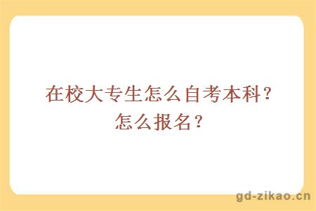 在校大专生怎么自考本科？怎么报名？