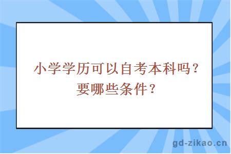 小学学历可以自考本科吗？要哪些条件？