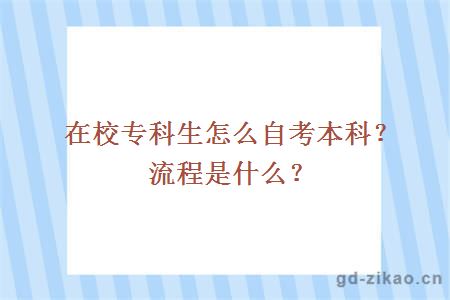 在校专科生怎么自考本科？流程是什么？