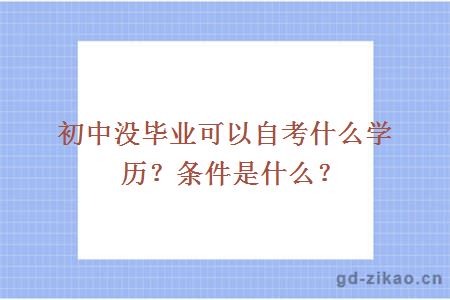 初中没毕业可以自考什么学历？条件是什么？