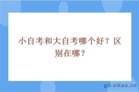 小自考和大自考哪个好？区别在哪？