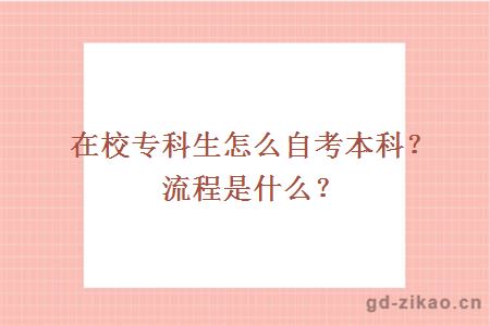 在校专科生怎么自考本科？流程是什么？