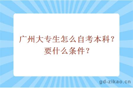 广州大专生怎么自考本科？要什么条件？