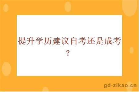 提升学历建议自考还是成考？