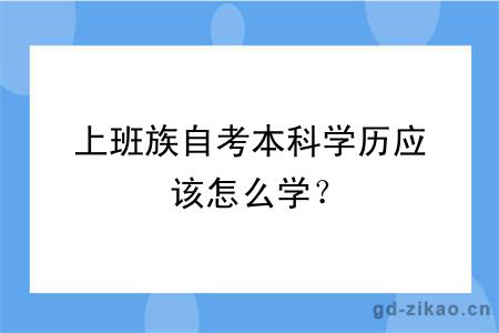 上班族自考本科学历应该怎么学？