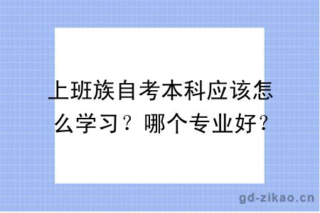 上班族自考本科应该怎么学习？哪个专业好？