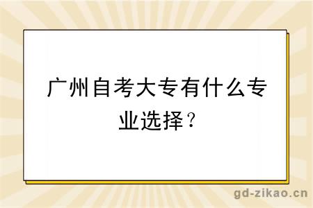 广州自考大专有什么专业选择？