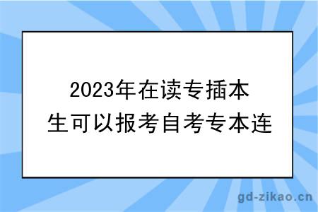 2023年在读专插本生可以报考自考专本连读吗？