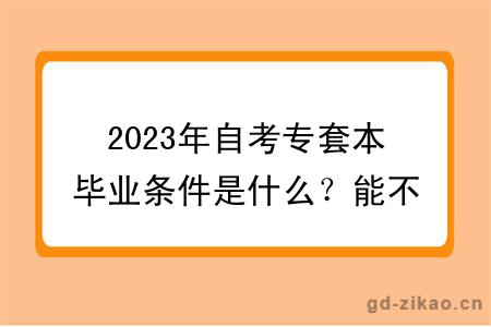 2023年自考专套本毕业条件是什么？能不能考公务员？