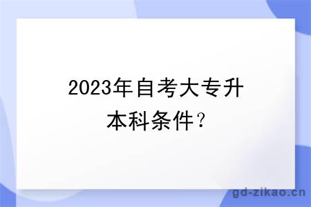 2023年自考大专升本科条件？