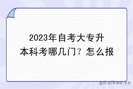 2023年自考大专升本科考哪几门？怎么报考？