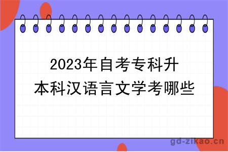 2023年自考专科升本科汉语言文学考哪些科目？