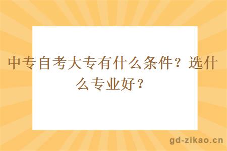 中专自考大专有什么条件？选什么专业好？