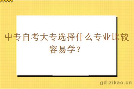 中专自考大专选择什么专业比较容易学？