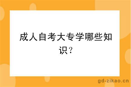 成人自考大专学哪些知识？