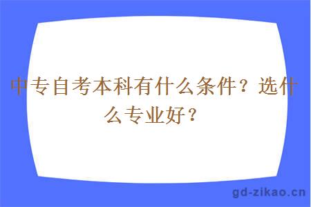 中专自考本科有什么条件？选什么专业好？