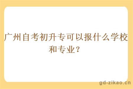 广州自考初升专可以报什么学校和专业？