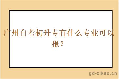 广州自考初升专有什么专业可以报？