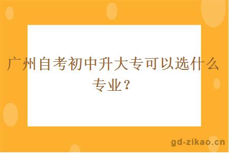 广州自考初中升大专可以选什么专业？
