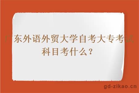 广东外语外贸大学自考大专考试科目考什么？