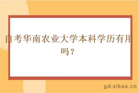 自考华南农业大学本科学历有用吗？