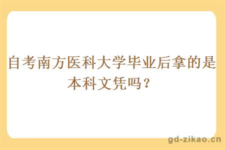 自考南方医科大学毕业后拿的是本科文凭吗？