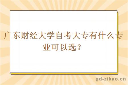 广东财经大学自考大专有什么专业可以选？