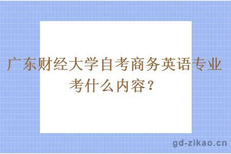 广东财经大学自考商务英语专业考什么内容？